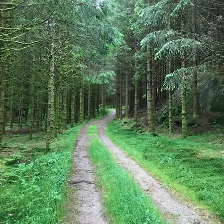 Forest Essence Lejlighed