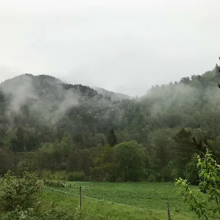 Forest Essence Kvinesdal